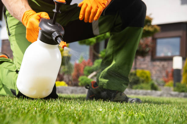 Best Affordable Pest Control Services  in Fairfax, VA