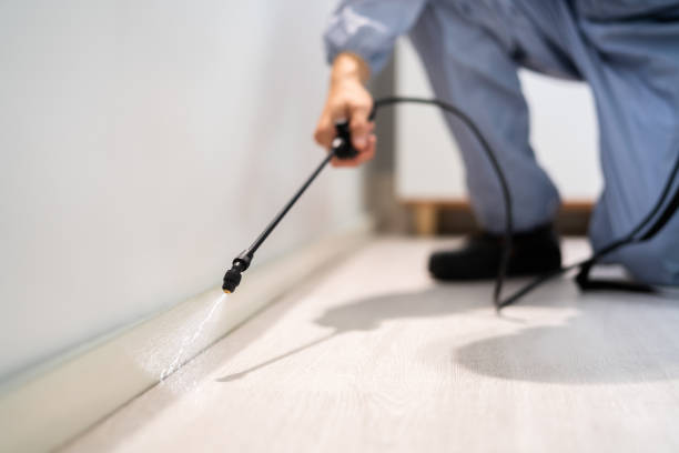 Best Termite Control Services  in Fairfax, VA