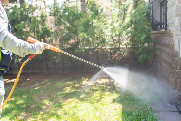 Best Pest Removal Services  in Fairfax, VA