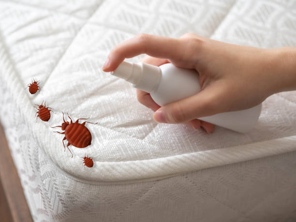 Best Pest Prevention Services  in Fairfax, VA