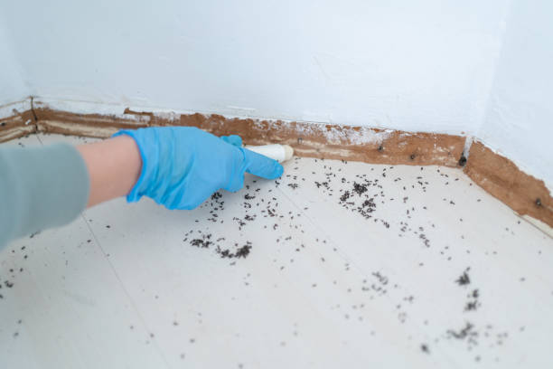 Best Best Pest Control Near Me  in Fairfax, VA